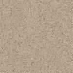 eclipse-dark-warm-beige-0037