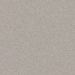 eclipse-medium-warm-grey-0988