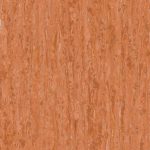 optima-red-orange-0258