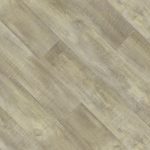 ALGERIAN-OAK-29501-1