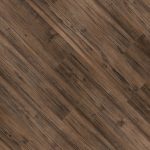Baikal-spruce-29509-2