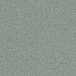 THH_HE_Rekord_Pinto_Alga_001