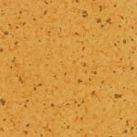 TH_HO_Primo_Plus_301_3049301_001