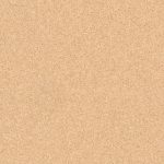 TH_HO_Primo_Plus_304_3049304_001