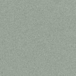 TH_HO_Primo_Plus_311_3049311_001