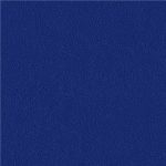 wykladzina-sportowa-budmech-6470_00_273-Extreme